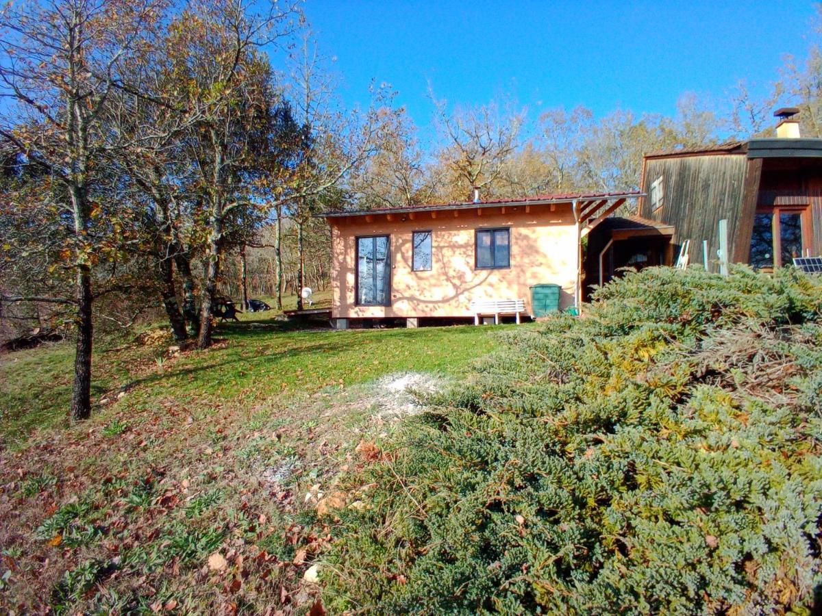 Maison Dans Un Ecrin De Verdure แซงต์-เลยอง-ซูร์-เวแซร์ ภายนอก รูปภาพ
